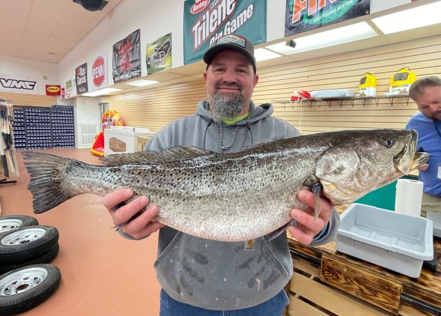 Record Speckled Trout